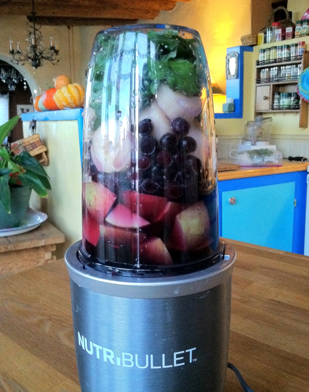 Savoring NutriBullet Recipes for Life